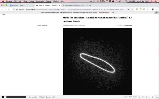 trndmusik.de premiere