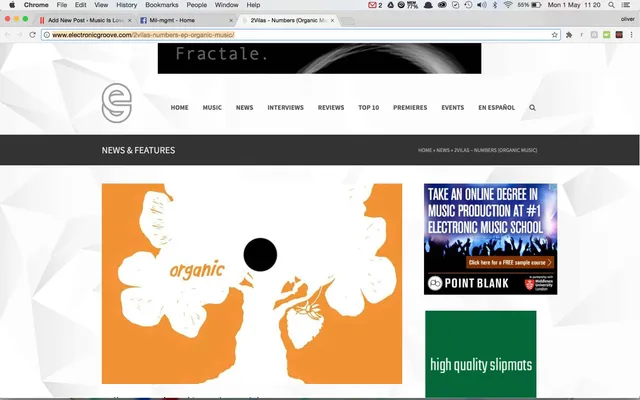 Electronic Groove review Organic