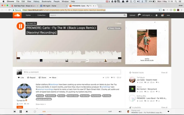 TURNED ON premiere Black Loops