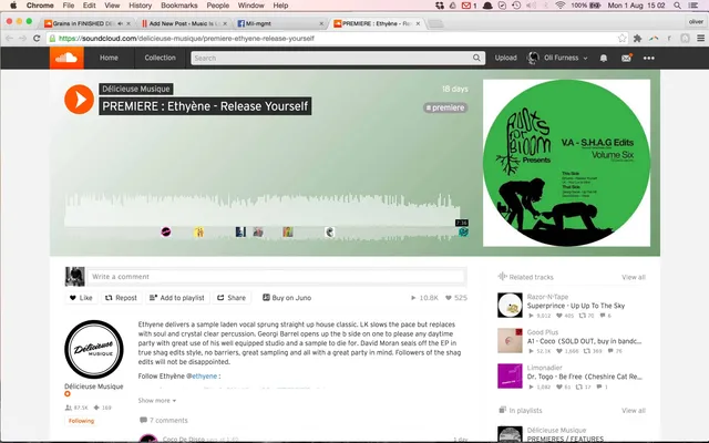 Delicieuse Musique preview the new Shag Edits